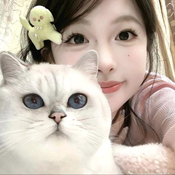 旧书堆里的猫