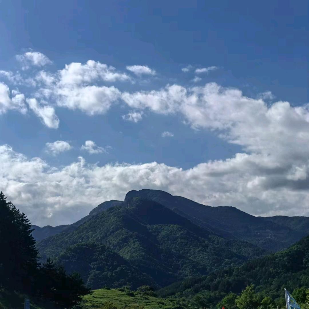 闫文杰