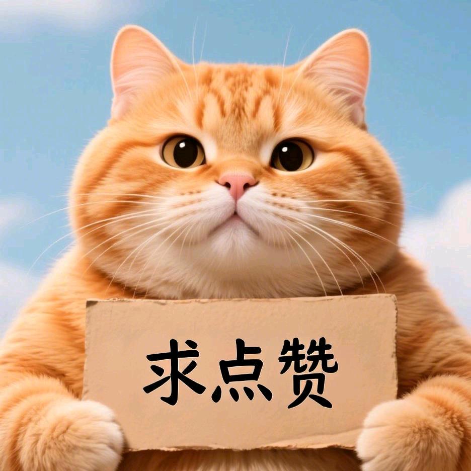 大橘为重AI