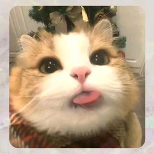 重生之我拿crush腿毛荡秋千