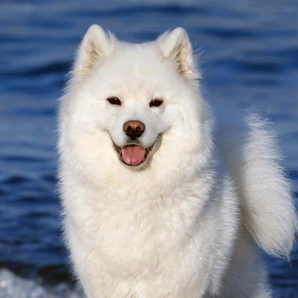 幸福一生（厨窗有好物）