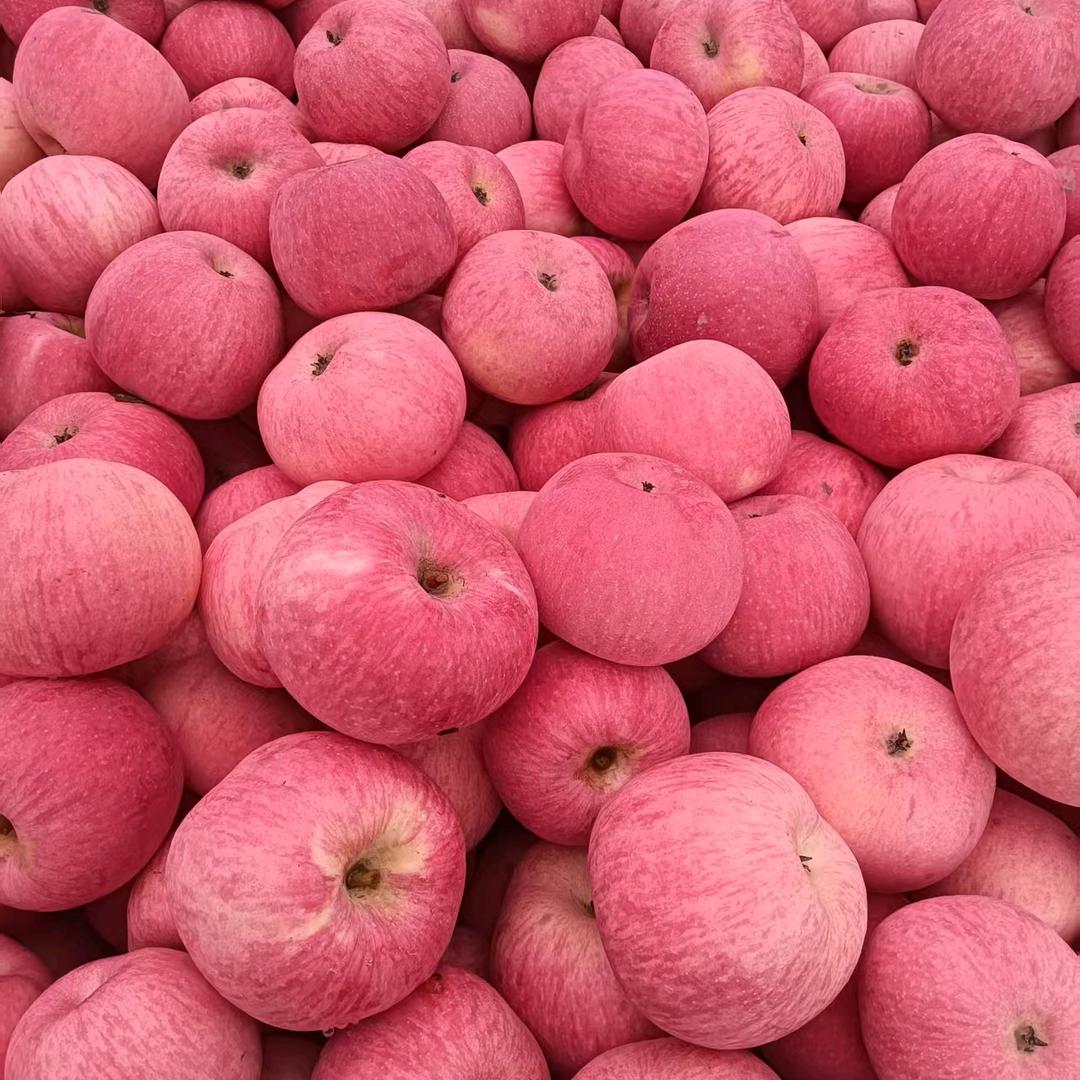 单身的我嗨起来