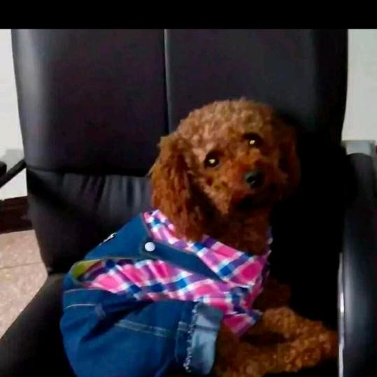 一路上有你🌺🌺🌺