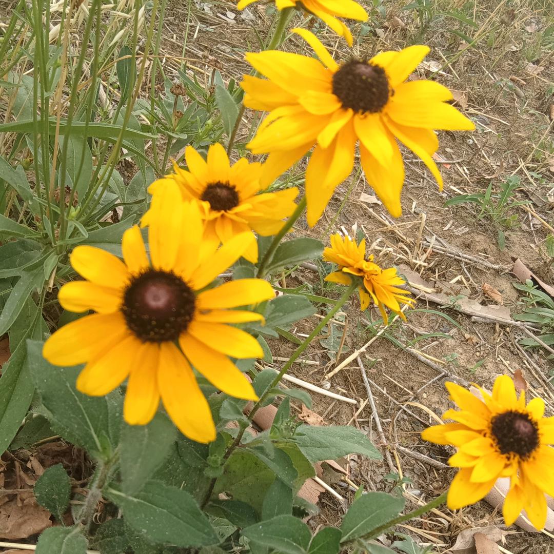 果园采摘💋💋💋💋