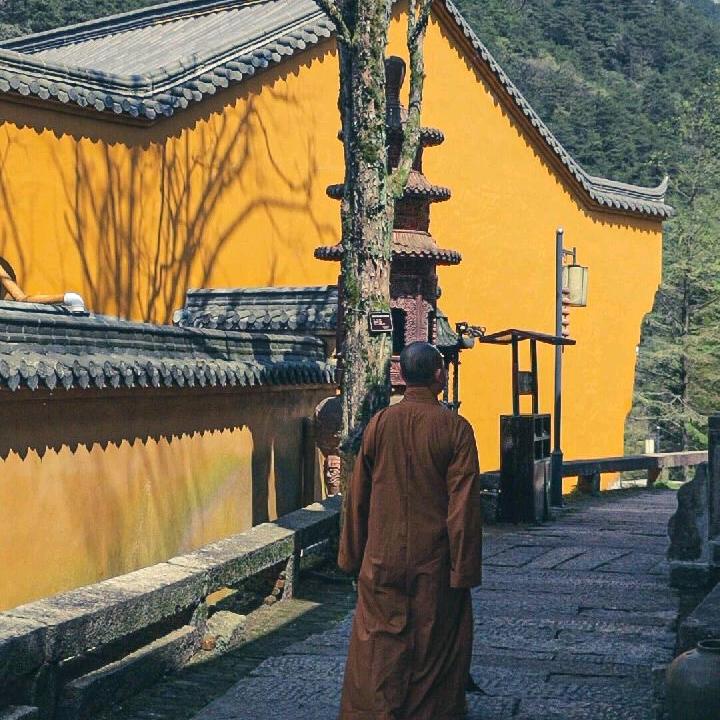 九华山释广善