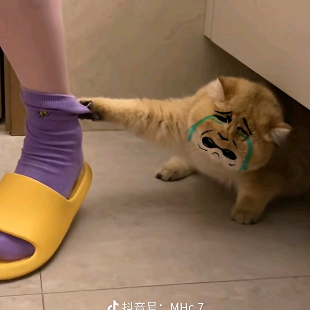 过客