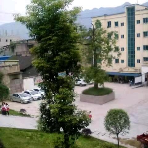 六三