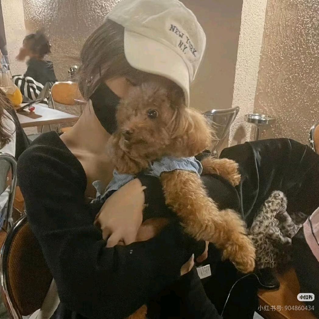 云然（见过黄子弘凡⁶）