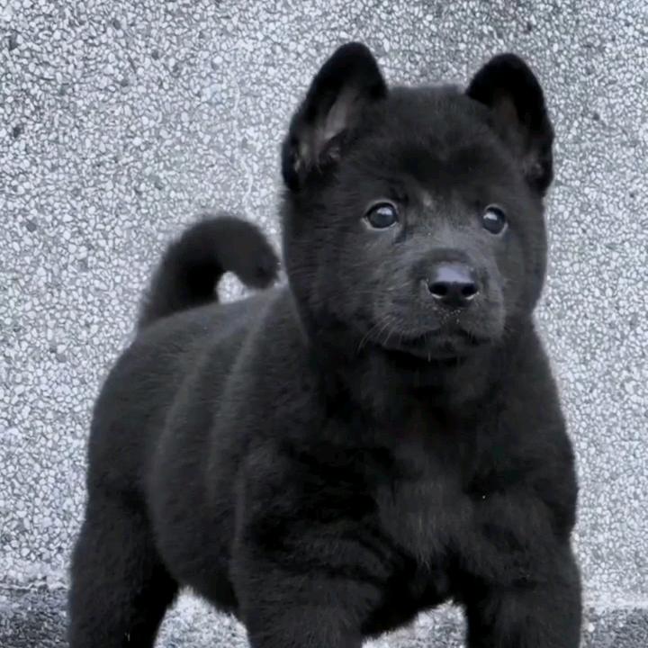 普安县荻蜀创意屋