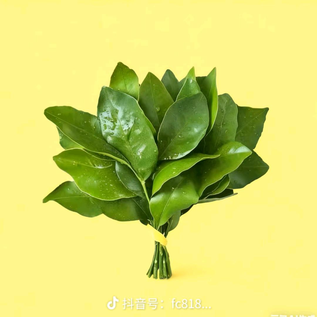🍒时光꧔ꦿ᭄安好࿐ᩚ