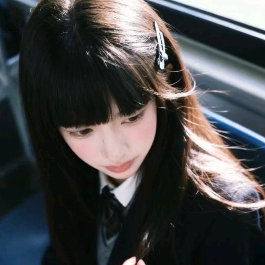 Camellia﹒