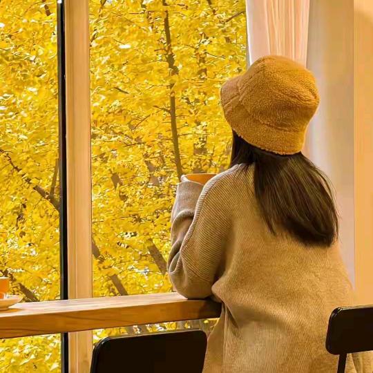 💖ღ如此᭄甚ღ好᭄ꦿ꯭💖