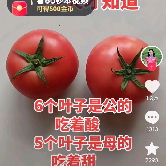 月亮代表我的心