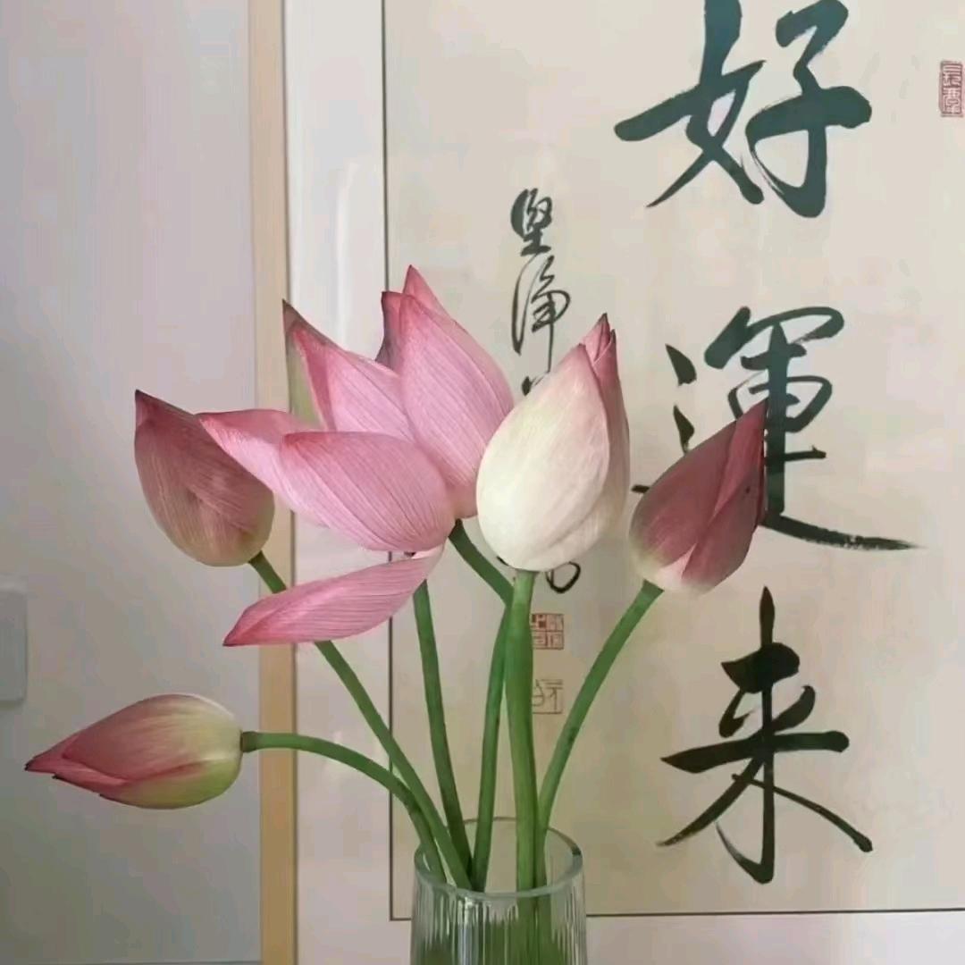 我爱我家