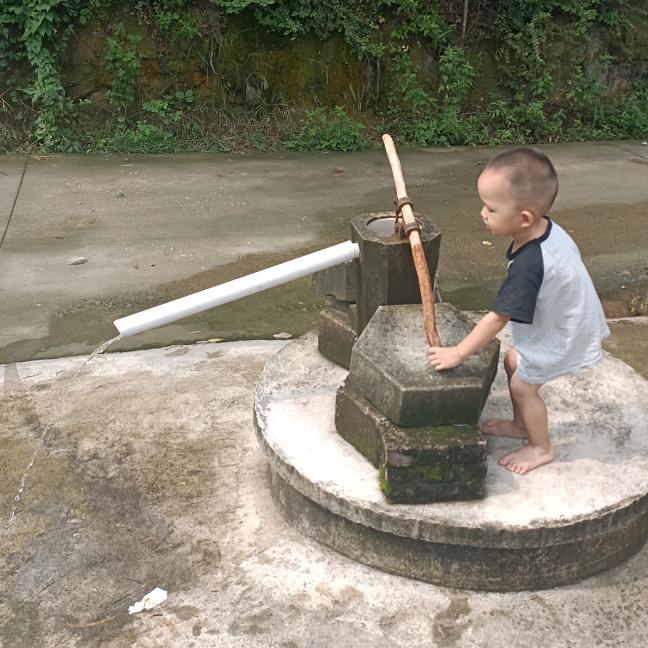 浪浪山的小妖怪