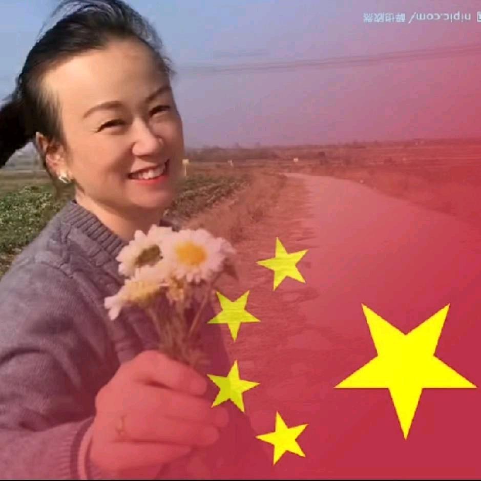河川专业豆腐机