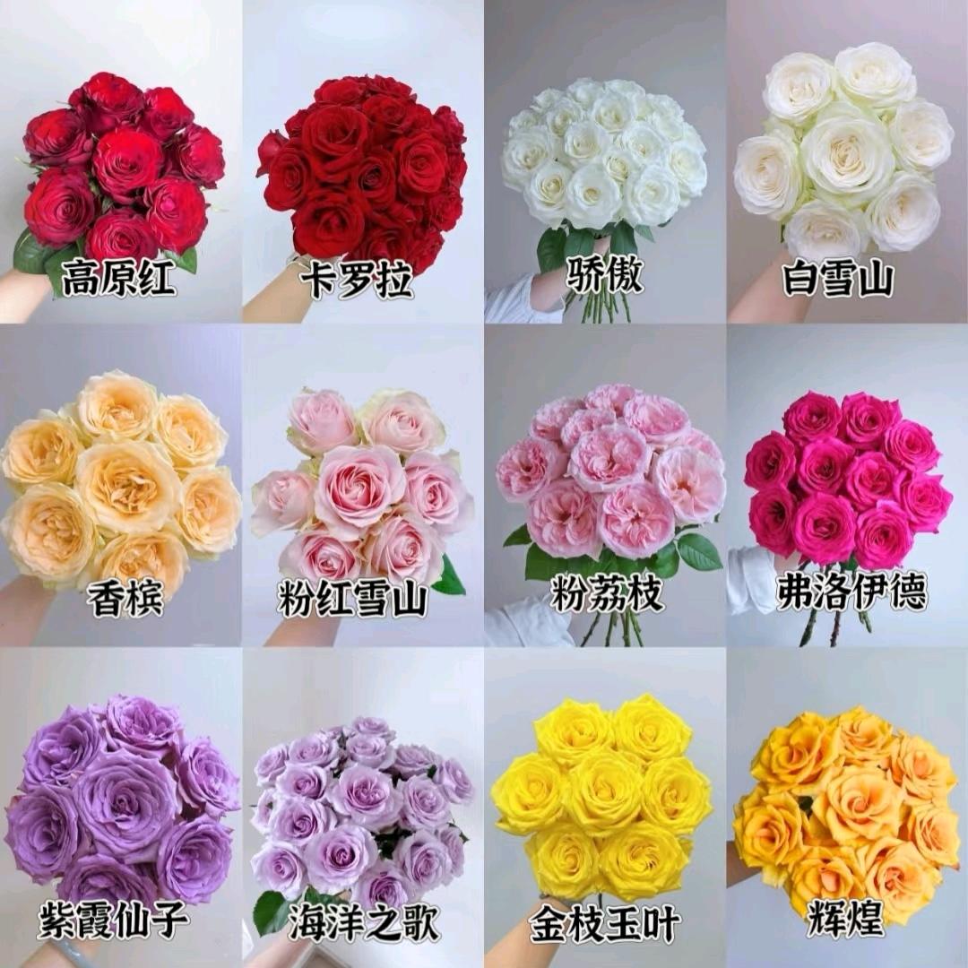 云花社鲜花批发