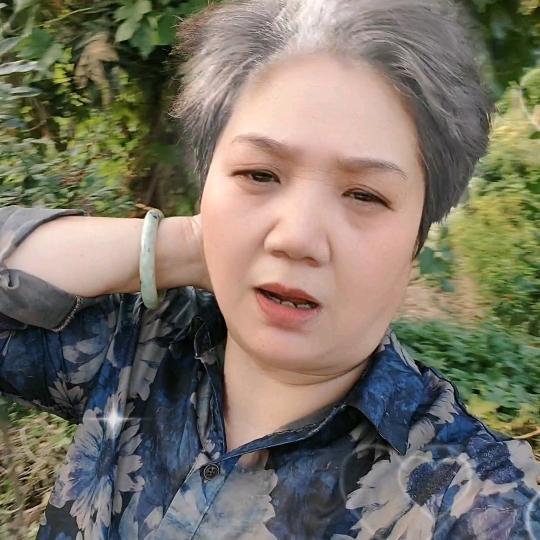 从头开始