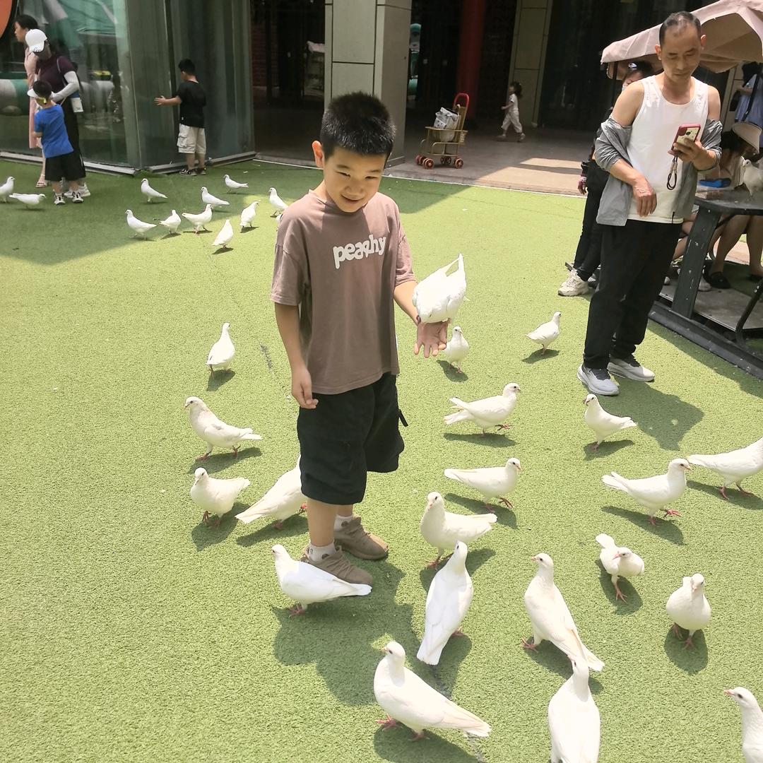 王先生  