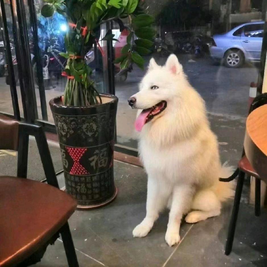 小帅😎