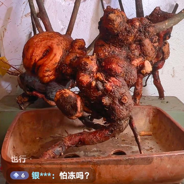七中队