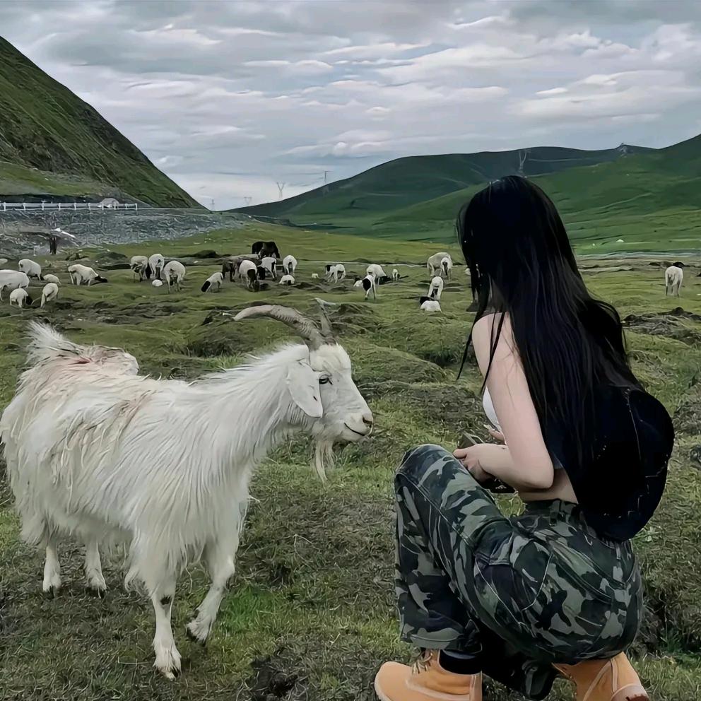 就是杨杨