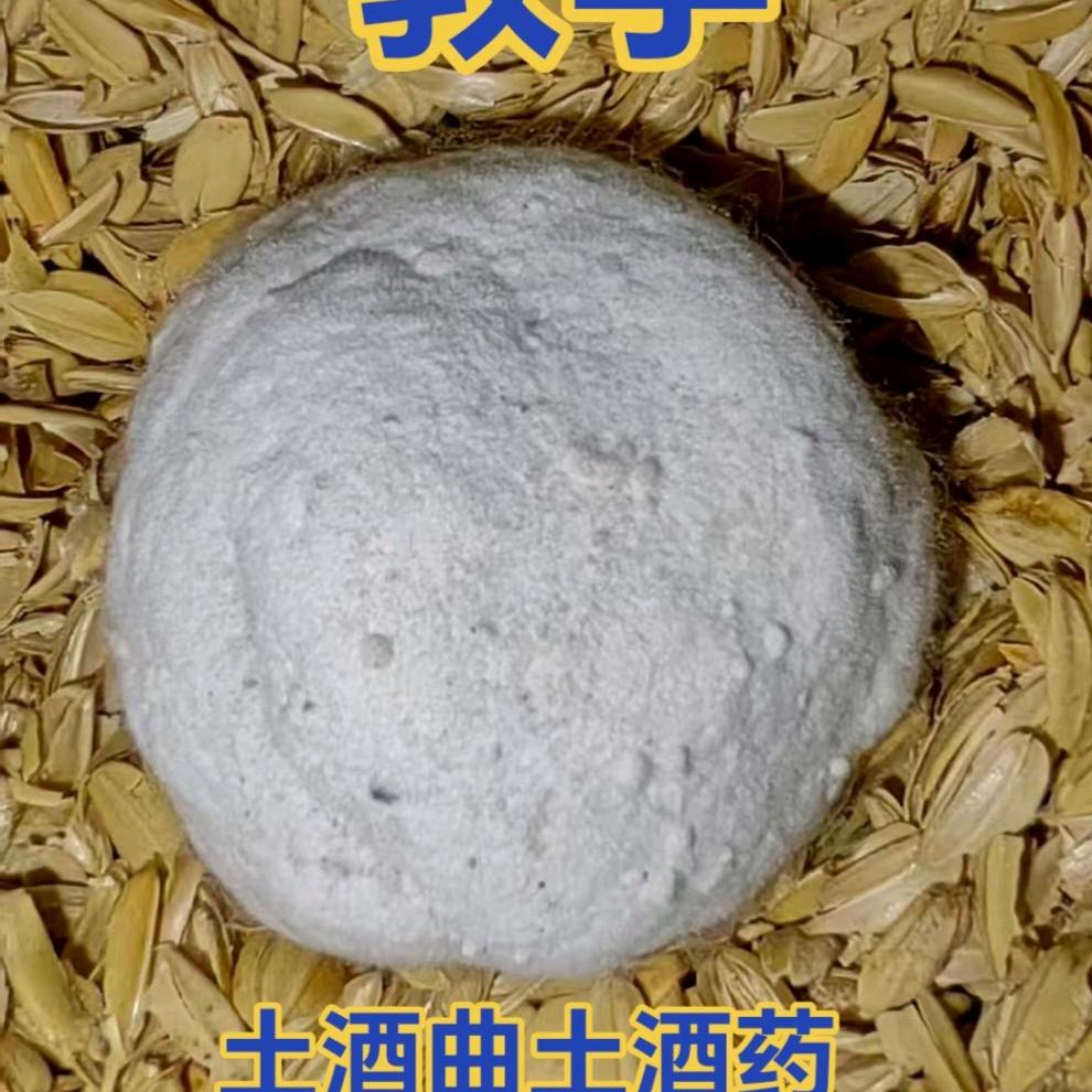 贵州曲哥
