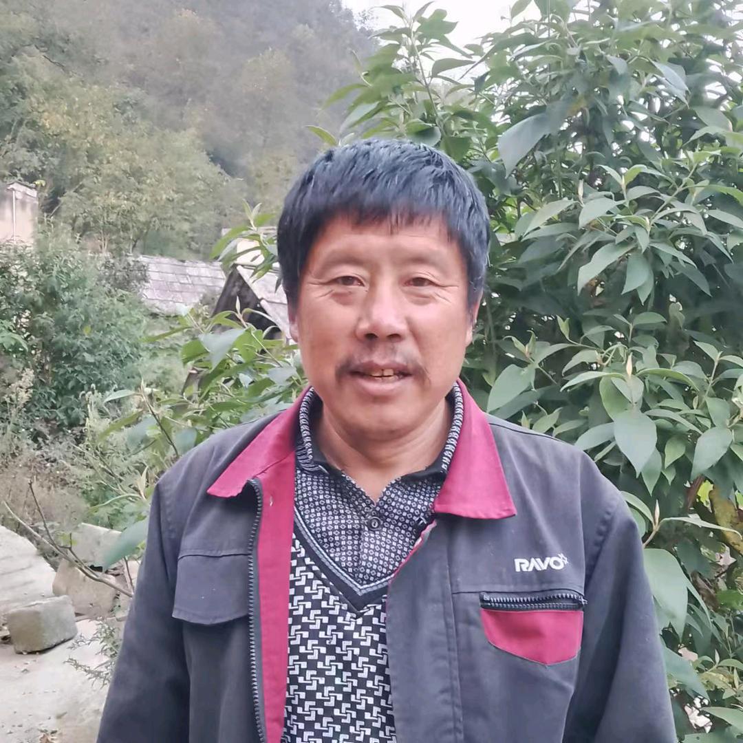 彭师（聊天主播）