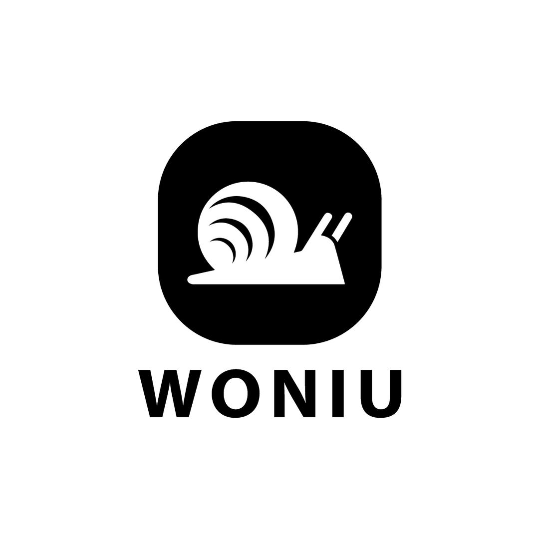 白国飞