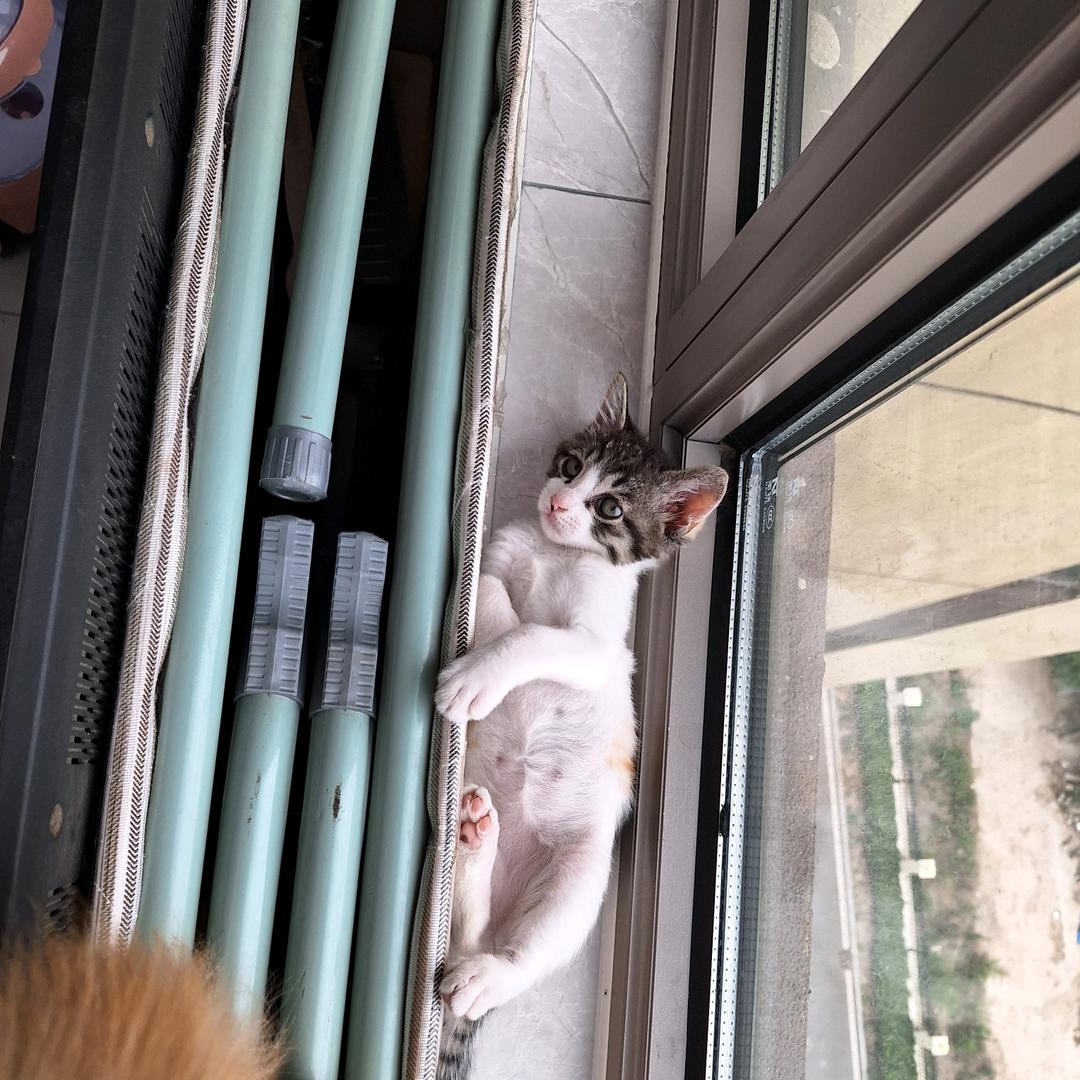 于非鱼，鱼是于