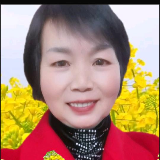 范琴