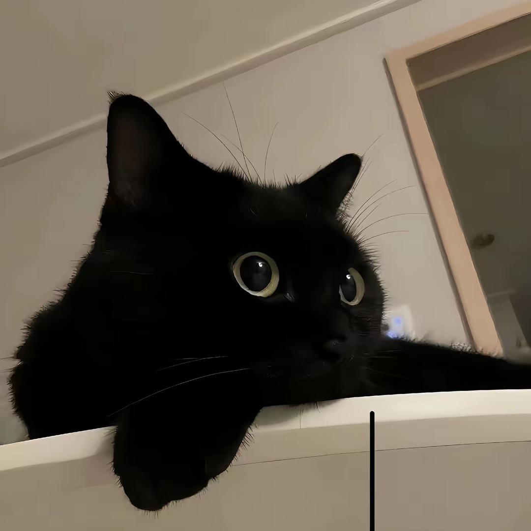 K.K..