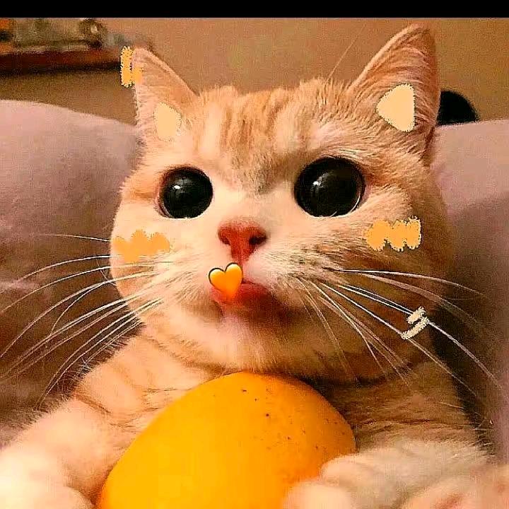 發財