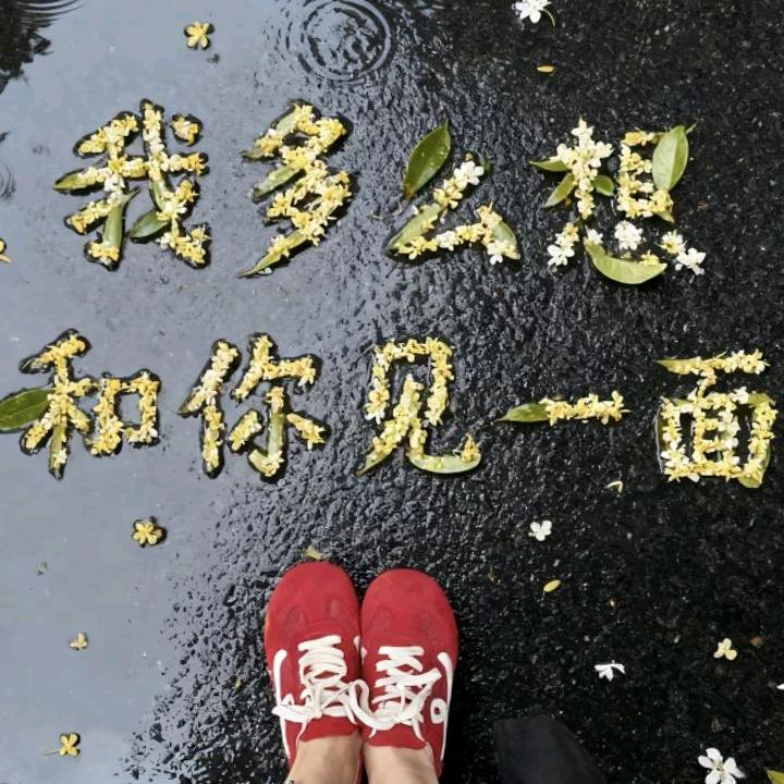 幽幽谷