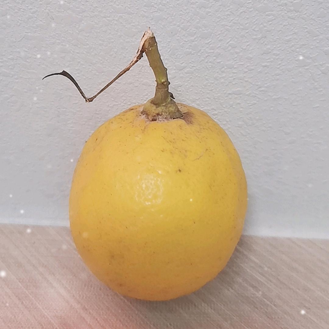 柠檬🍋🍋