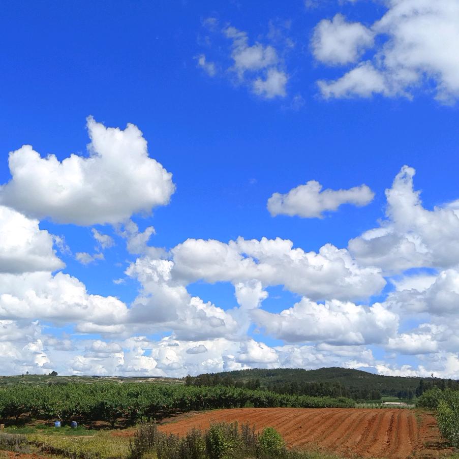 抖音不会抖🍀！