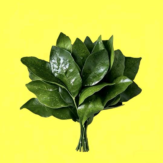 猛戳独眼龙那只好眼