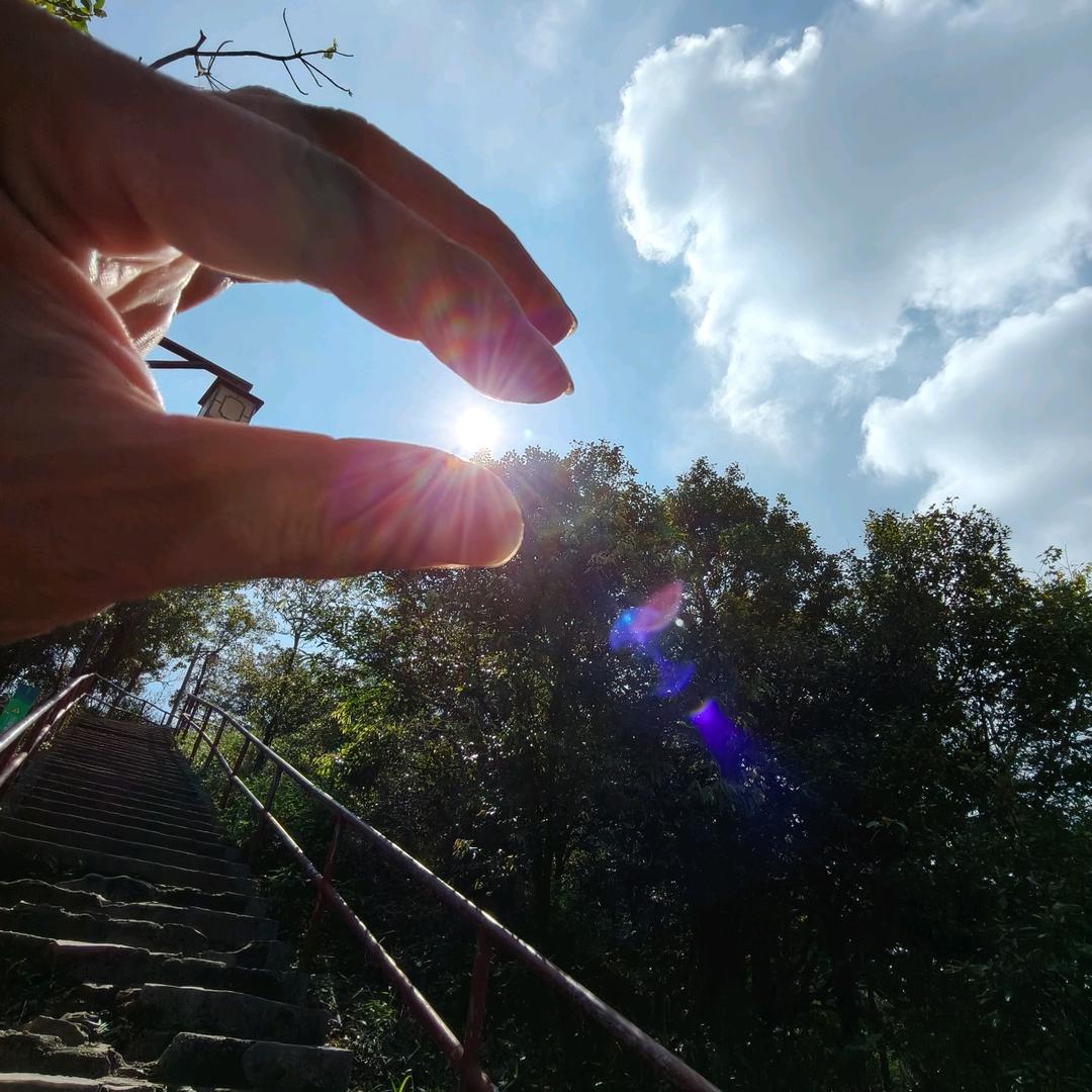 害羞的跟屁虫