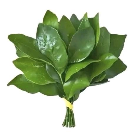 kiissie