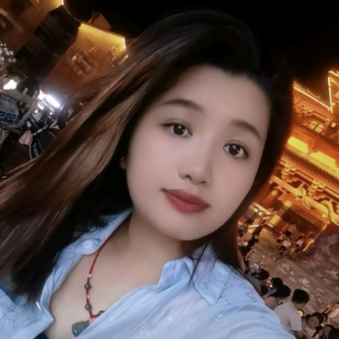 菊宝