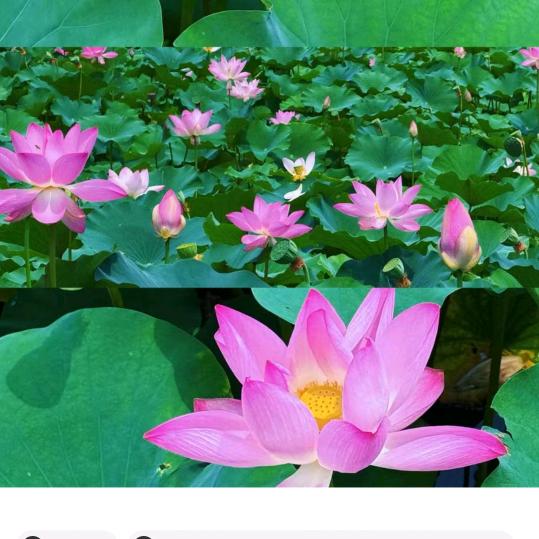 溢口香手工月饼