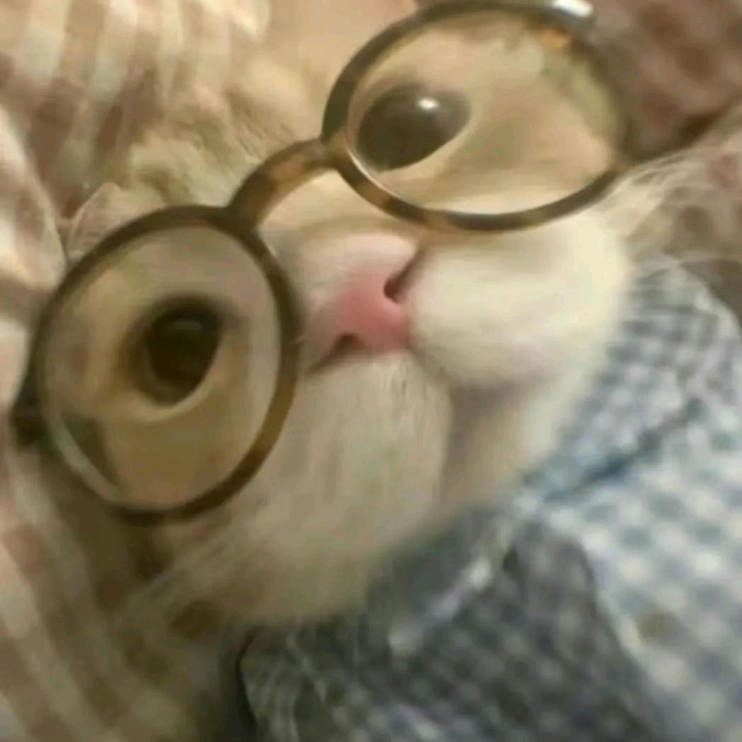 ( ˊ•̥▵•)੭₎₎