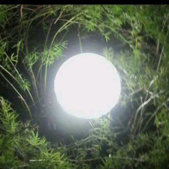 地上的月亮，太美了