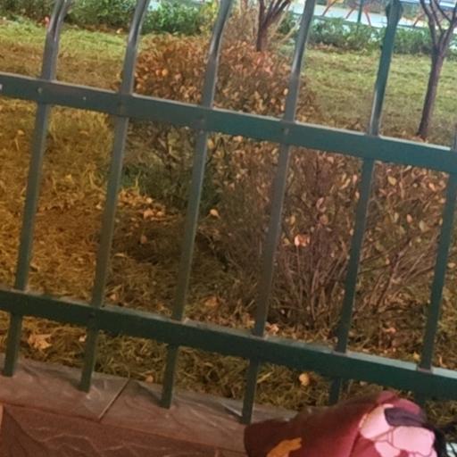 河北张哥专治境外势力（境外人员的伯父）