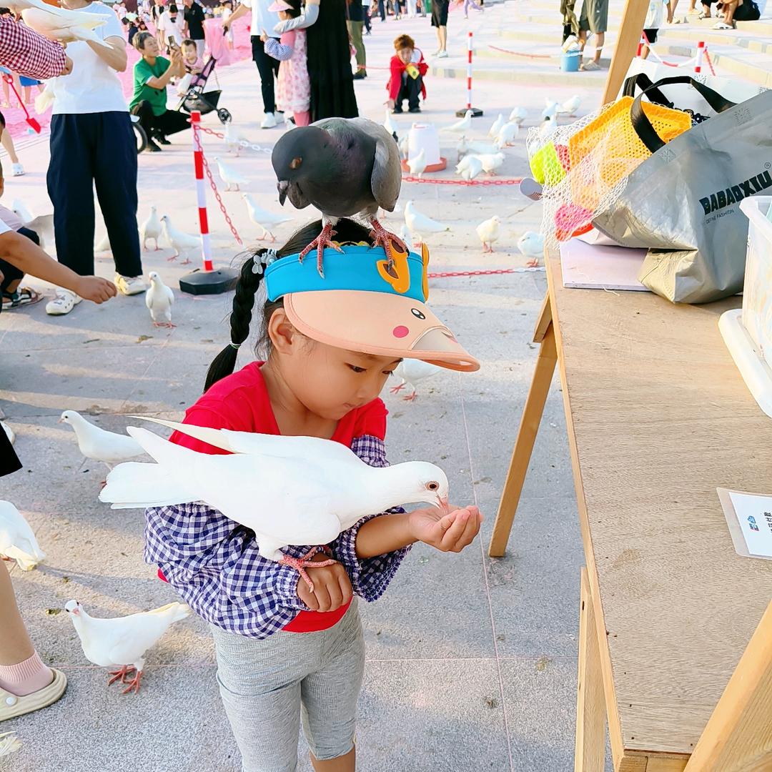 丹丹减肥居家日常（已瘦85斤）