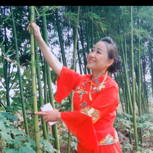 金翅(谢绝连赞、不聊天)