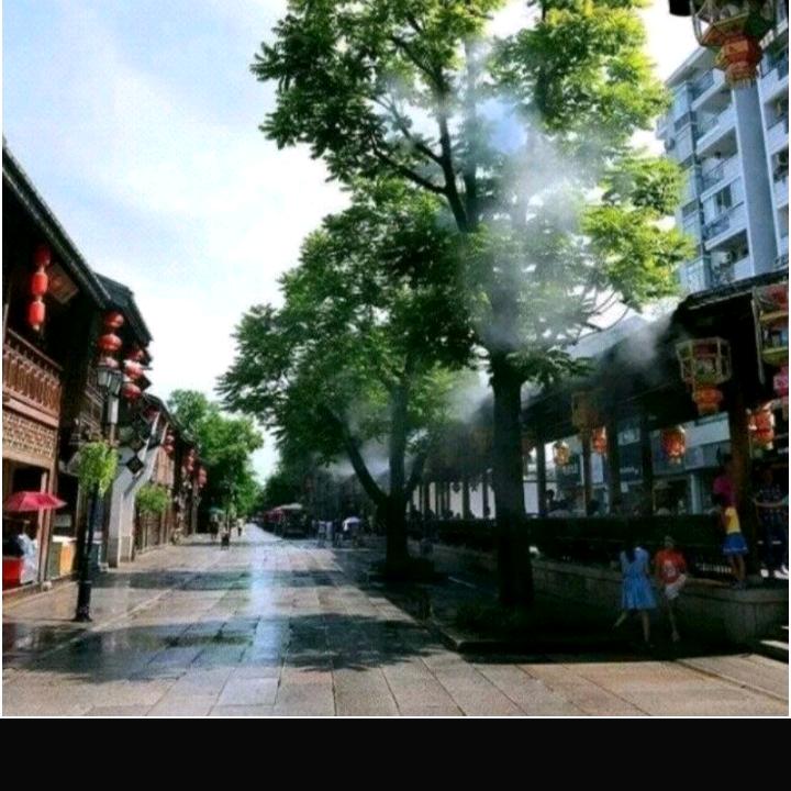 🌸护你一生梅🌸