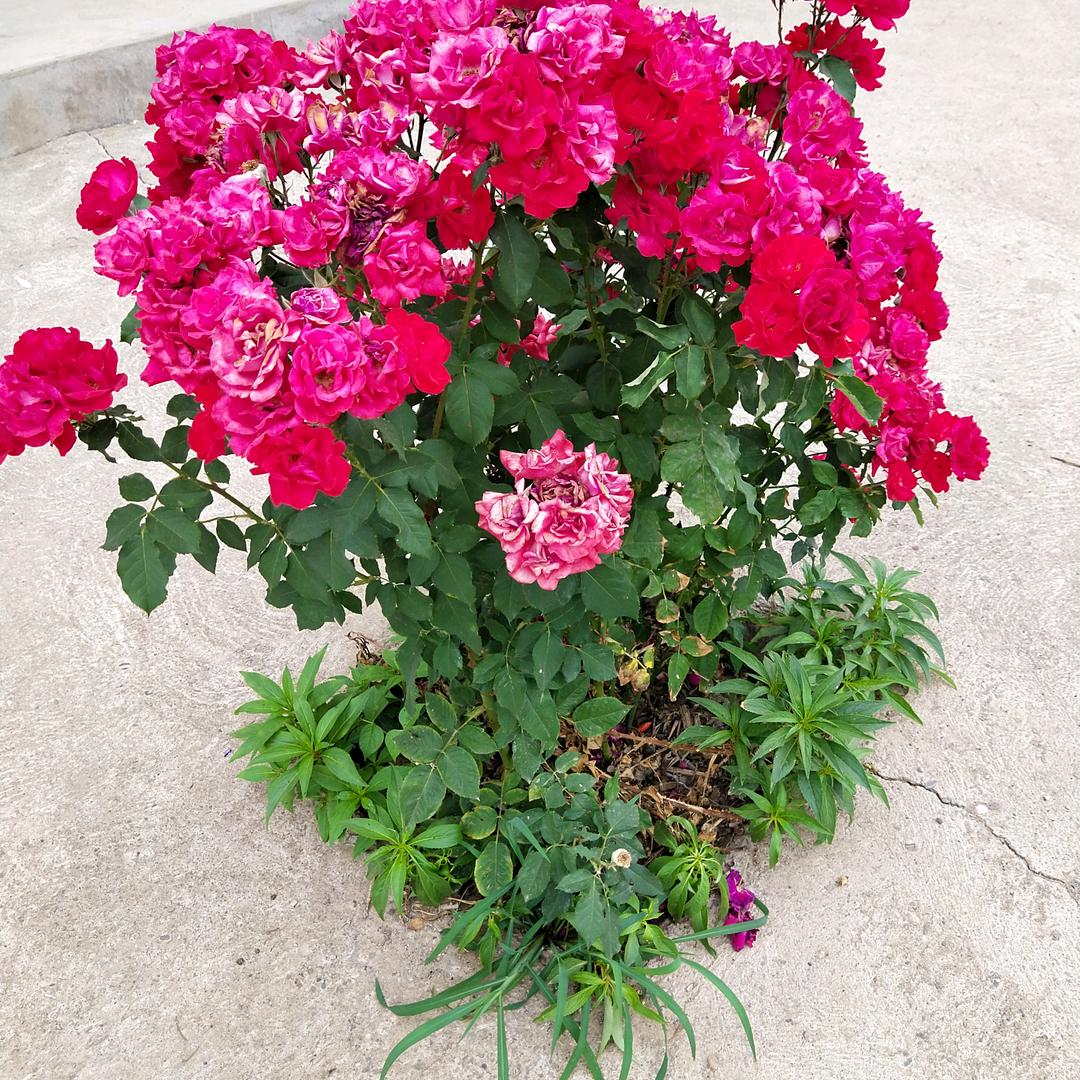 温暖守候依然美