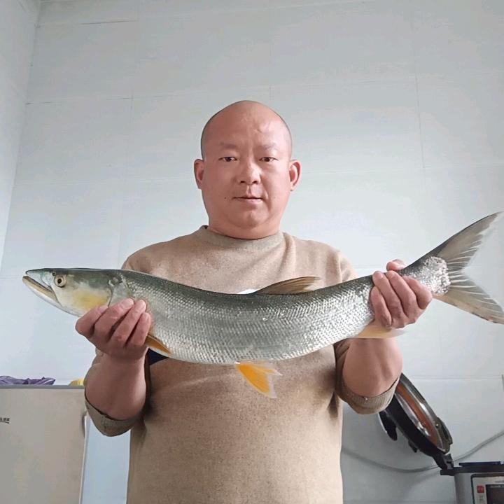 光头佬爱钓鱼
