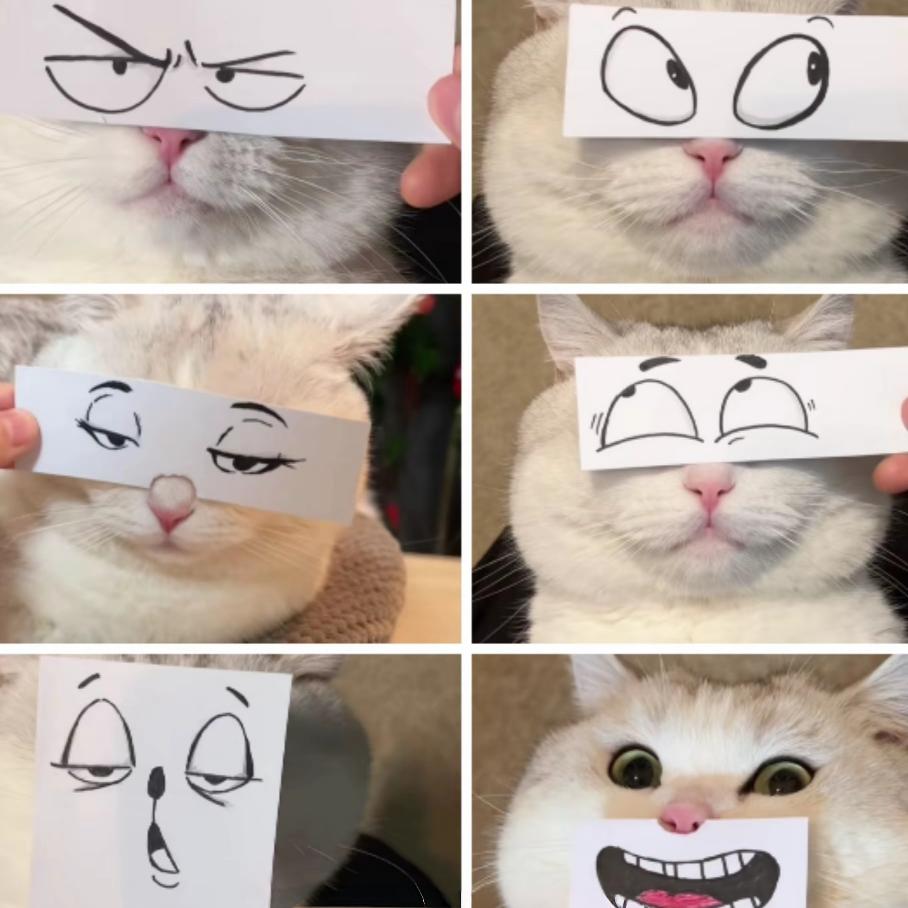 何夸夸